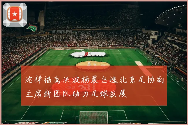 沈祥福高洪波杨晨当选北京足协副主席新团队助力足球发展